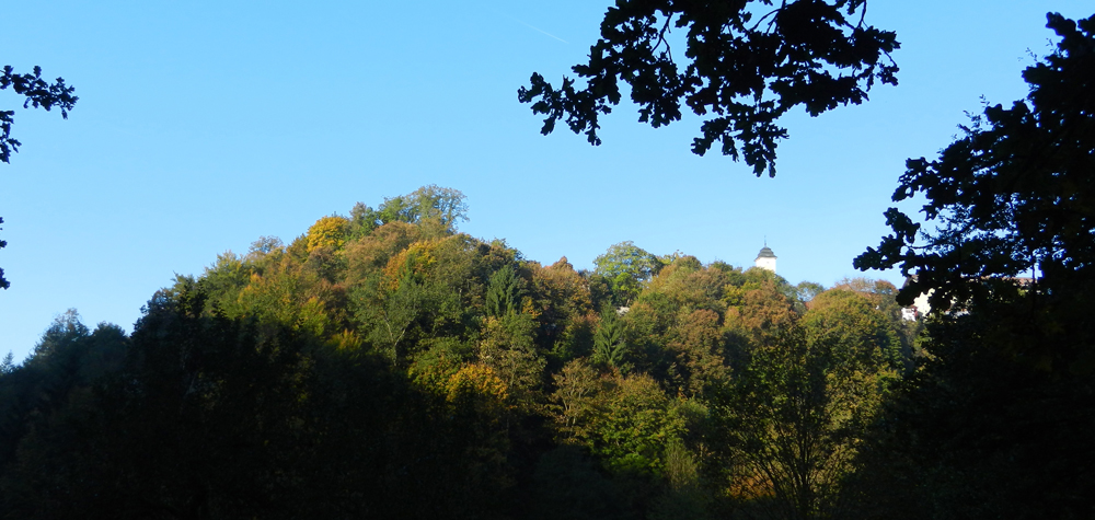 004 der turm der sankt georgskirche in mitterfels spitzt gerade noch aus den maechtigen charakterbaeumen des schlossberges hervor  ft