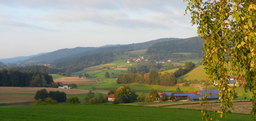 008 landasberg im warmen licht der untergehenden sonne ft