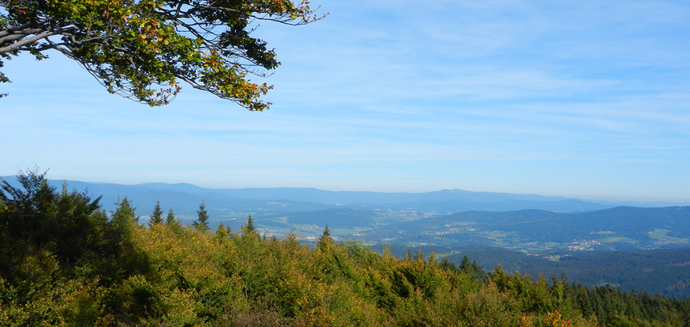010 blick vom turm des hirsdchensteins  in woid eini - in bildmitte der rachel-doppelgipfel  ft