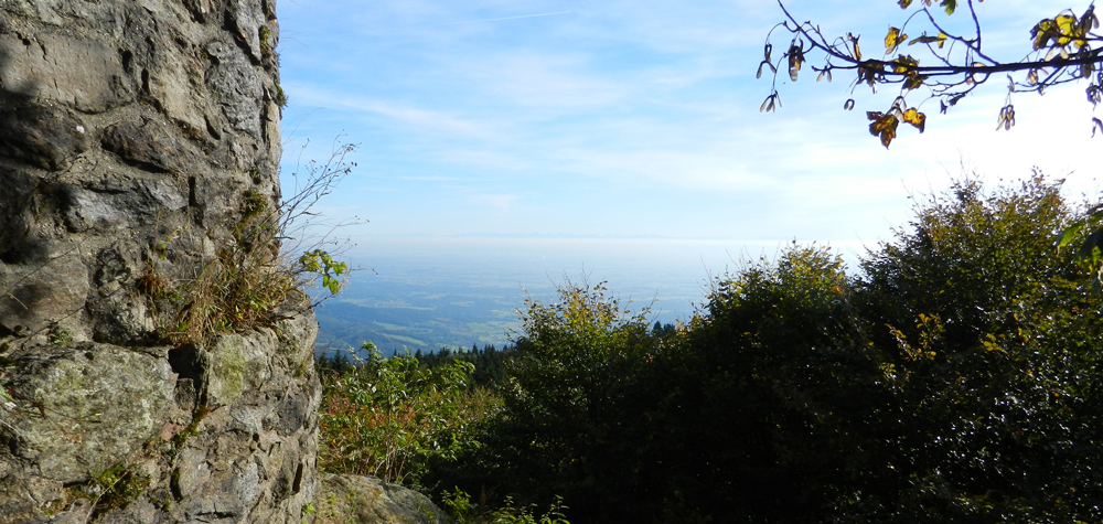 012 sonnenseite des hirschenstein-aussichtsturms - im dunst erkennt man die alpen ft