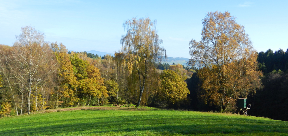 42 birkenhain bei hagnberg - ft