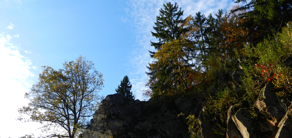 49 beim frueheren waldbad im perlbachtal - ft