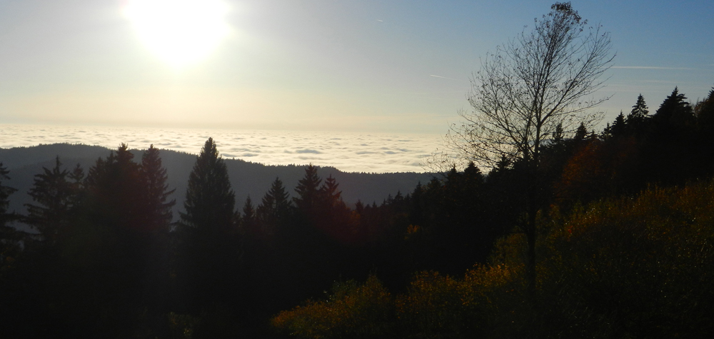 56 irgendwo in der linken bildhaelfte stecken haselbach und mitterfels in dichter nebelsuppe