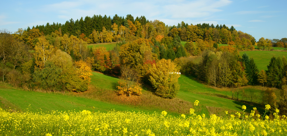 58 strukturierte landschaft bei hoermannsberg - hh