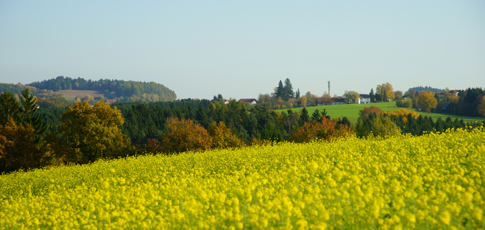 61 farborgie vor den toren von mitterfels - hh