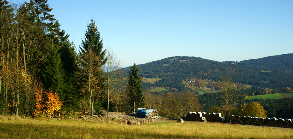 67 bei der hansl-huette in riedlswald - hh