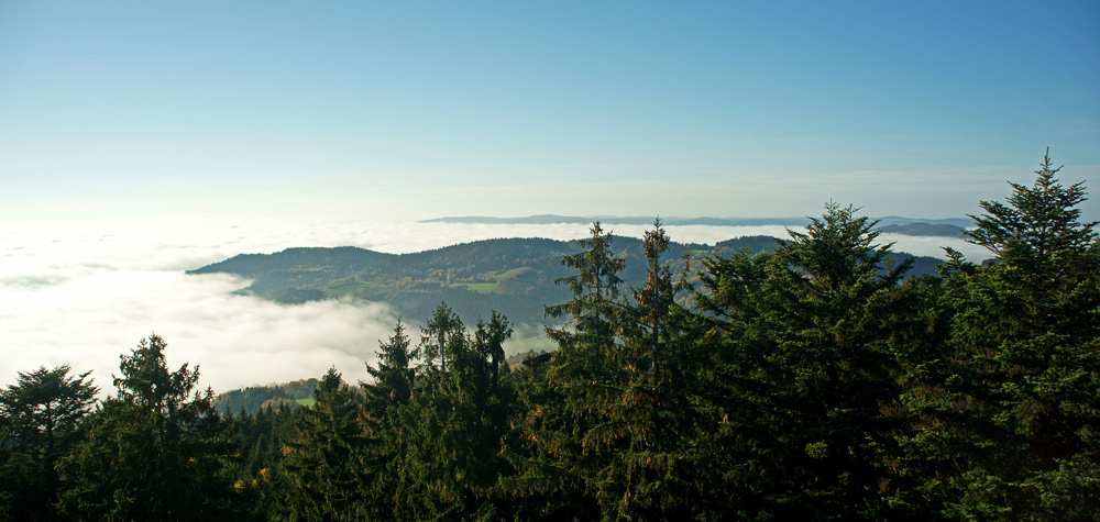 70 halbinseln im nebelmeer - hh