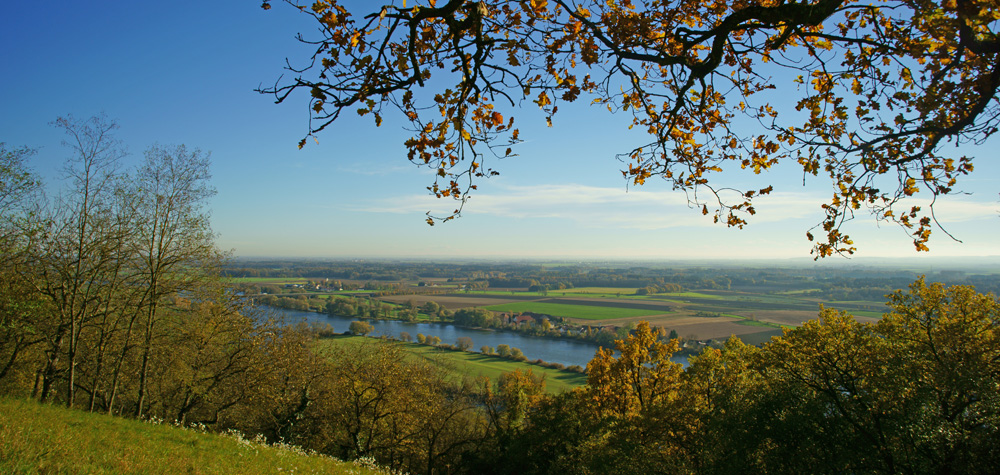 71 ausblick vom bogenberg - hh