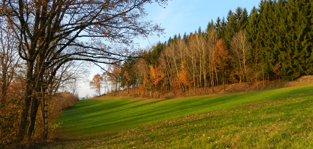 75 bei landasberg kurz vor sonnenuntergang - ft
