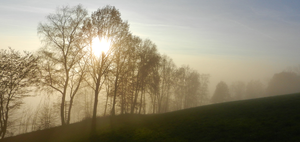 77 nebel zieht bergwaerts - ft