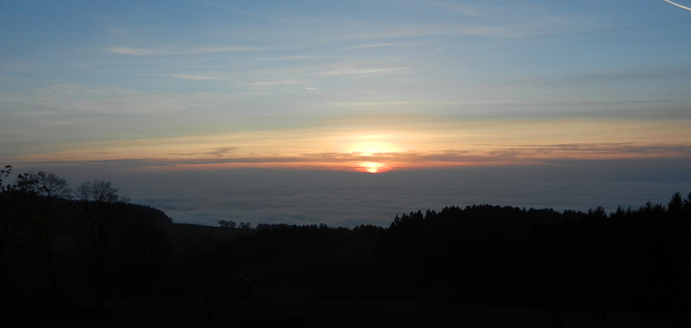 85 am waldrand oberhalb von buchet liegen einem die nebligen niederungen zu fuessen - ft