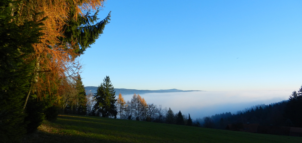 98 sonne versus nebel - nebelobergrenze bei 710 meter - ft