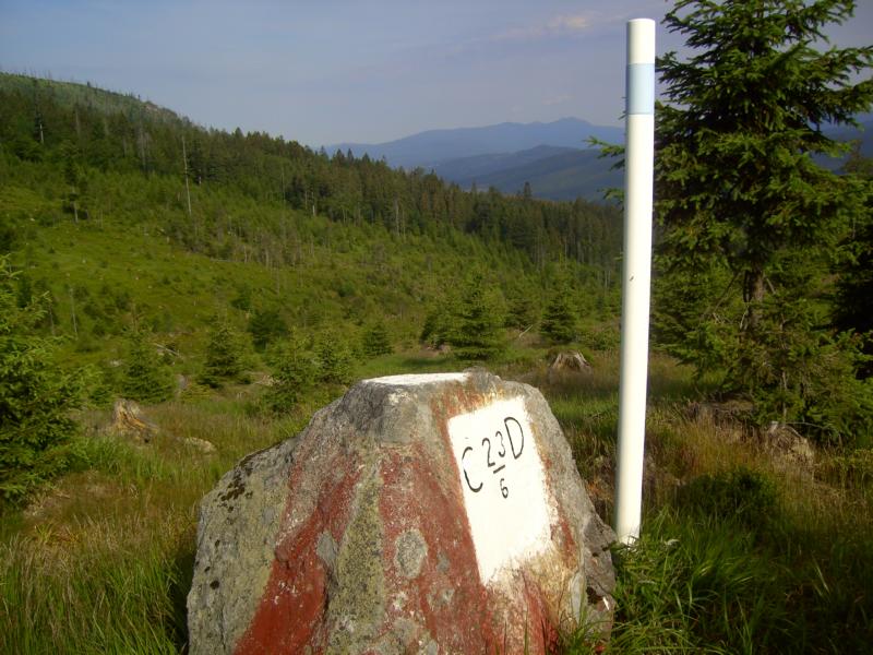 007 rachelhaeng am kleinen regen blick zum arber