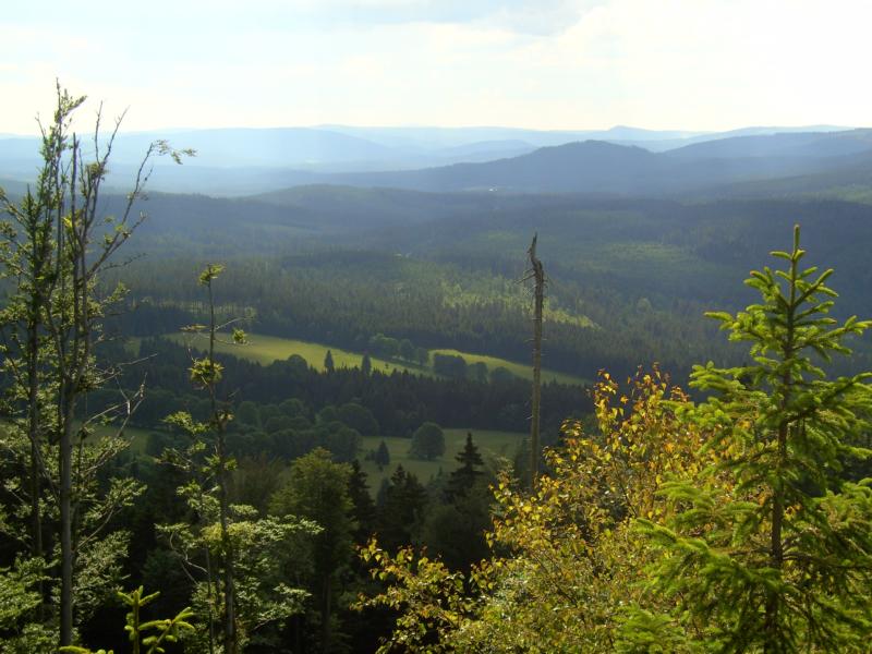 011 blick vom panzer in den boehmerwald