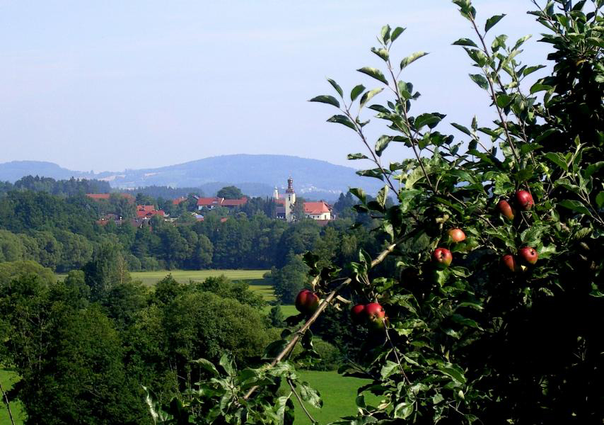 30 rattiszell und stallwang