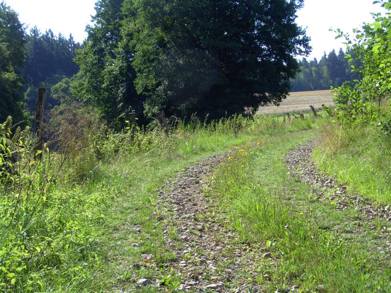 36 weg nach pielhof