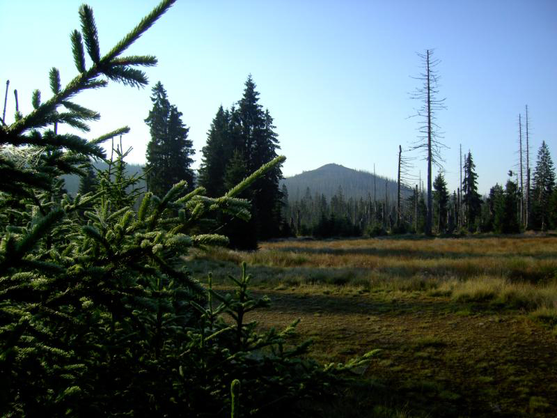 42 frhmorgends im lusenbachtal-1