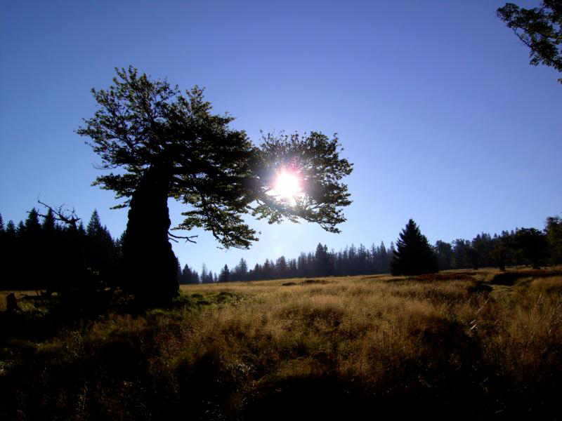 65 morgensonne am grossen schachten