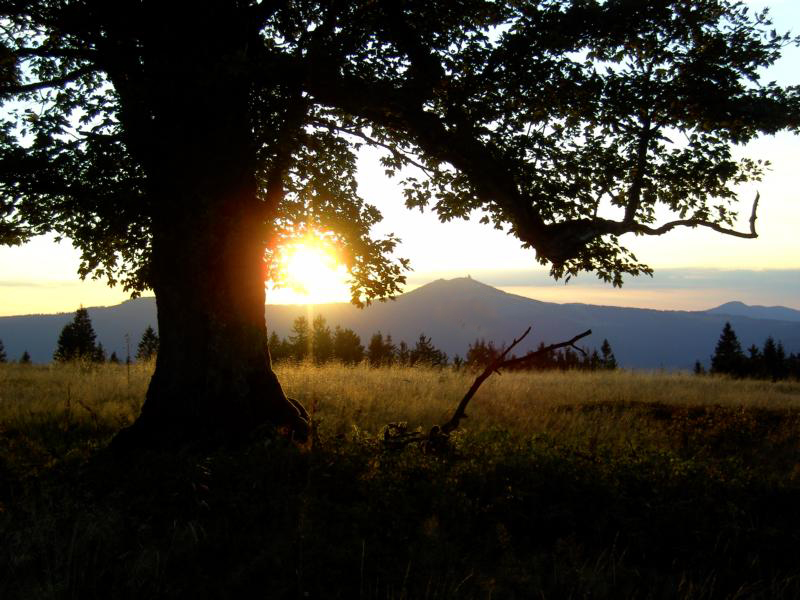 66 abendsonne am rukowitzschachten