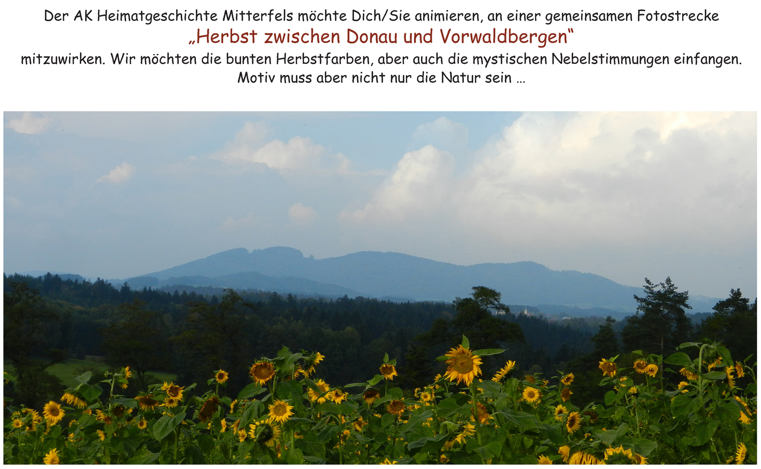 fotostrecke herbst 2014 w2