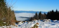 16-am-Proeller---am-anderen-Ende-der-Nebeldecke-im-Tal-des-Regens-der-Arber