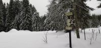 59-jan-18-an-der-Grenze-lag-einst-die-Ortschaft-Huettl-bm
