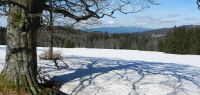 177-april-18-vom-hochschachten-schweift-der-Blick-zum-Arber-ft