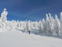 049_Arbersuedseite_kaum_zum_Glauben_-_auf_der_Nordseite_steppt_der_Baer_2019_01_30_ft