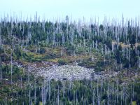 107_Moorberg_im_Zoom_vom_Grenzsteig_zum_Plattenhausenriegel