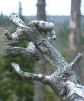 20-wo-is-unten---wo-is-obn-bm