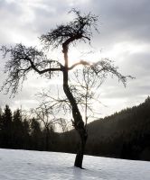 05_Tanzender_Woidgeist_nn_-_Kopie