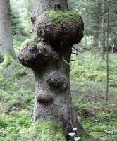 19_Vater-Mutter-Kinder_nn