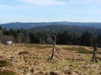 Hiagst19_053_Jaehrlingschachten_-_Ahorn_und_Buche_haben_Ende_Oktober_ihre_Blaetter_abgeworfen