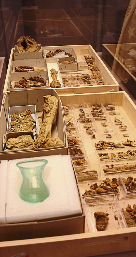 bajuwarenausstellung5 031 bog ztg 00 080515 w