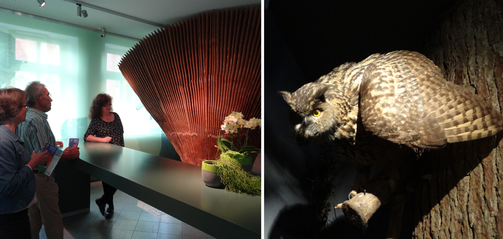 bildcollage waldmuseum w