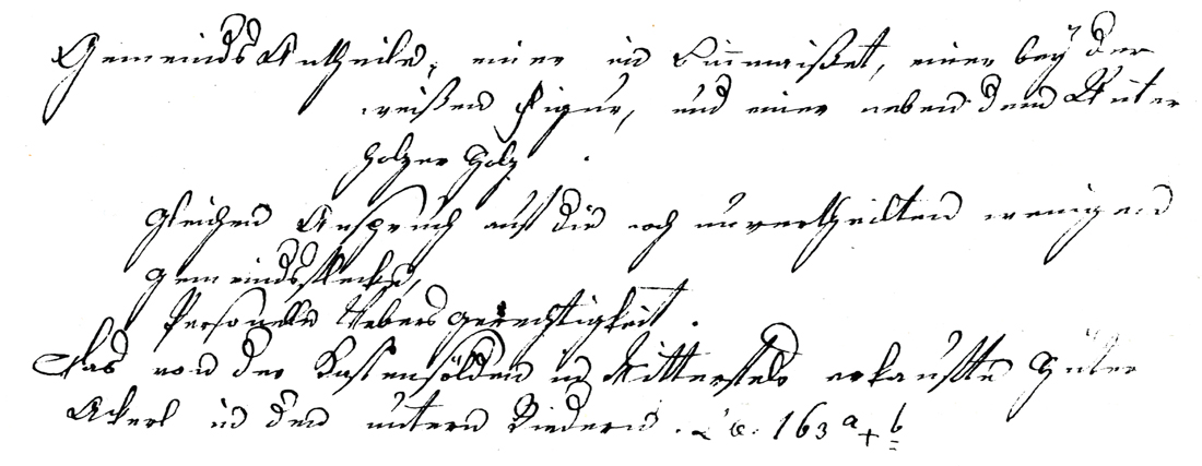 37 03 Schrift um 1809 w
