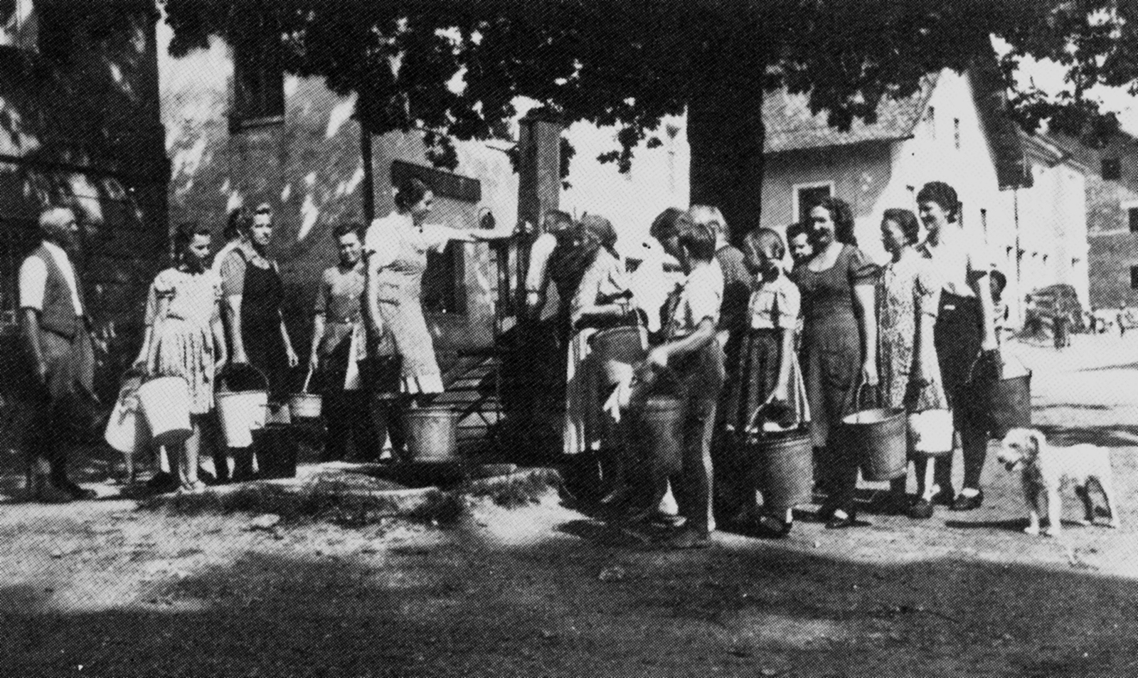 50 a Dorfbrunnen 1