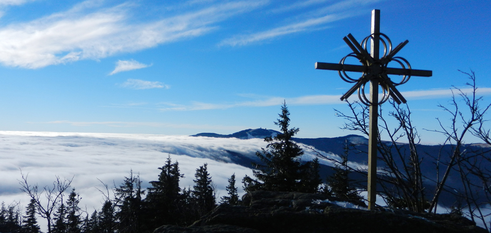 010 n  arber vom zwercheck - nebelgrenze 1200 m