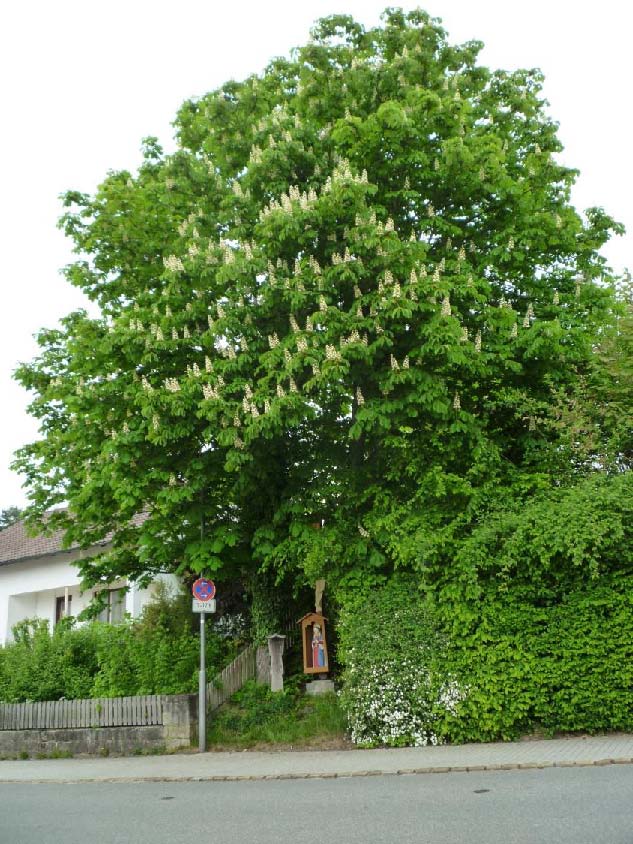 Mai 2019 lindenstrasse