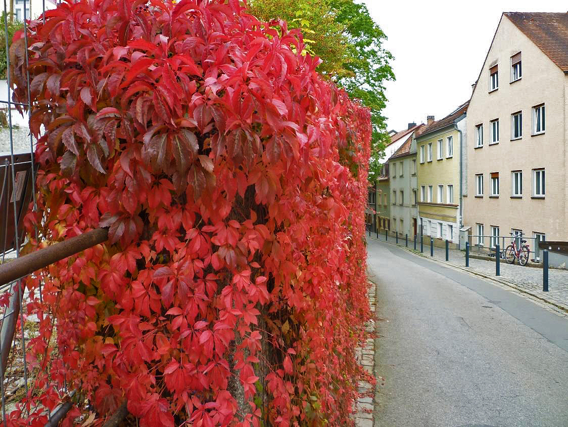 Oktober 2021 3
