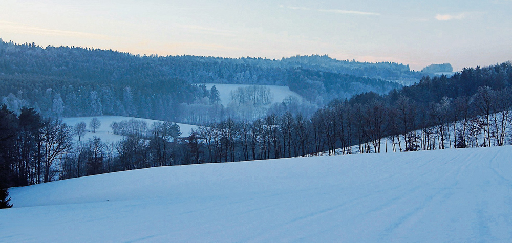 wetter febr2015 019 bog ztg 00 090315 w