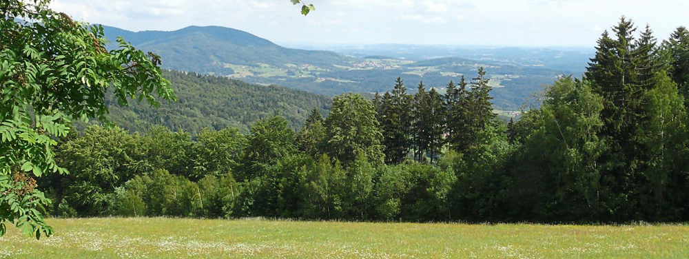 Naturpark1 2017 05 16 Bogener Zeitung 