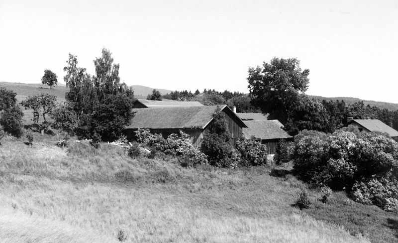 hagnberg w