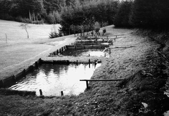 holzh04_w