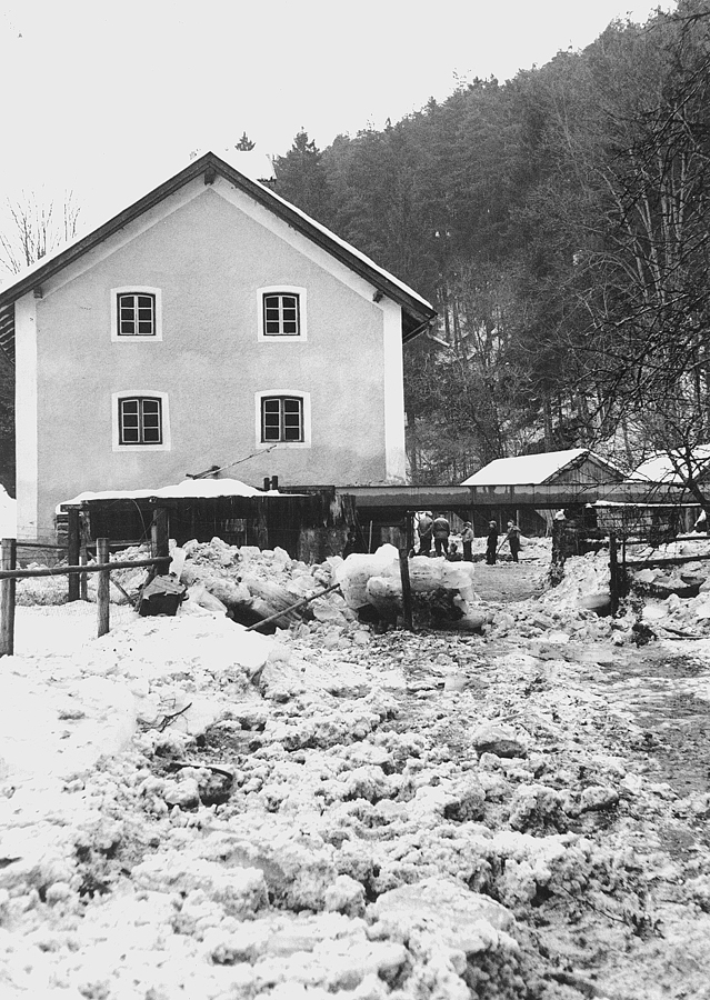 neumuehl19 w