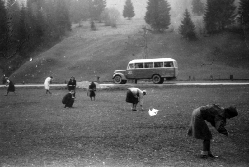 fuhrunt01_w