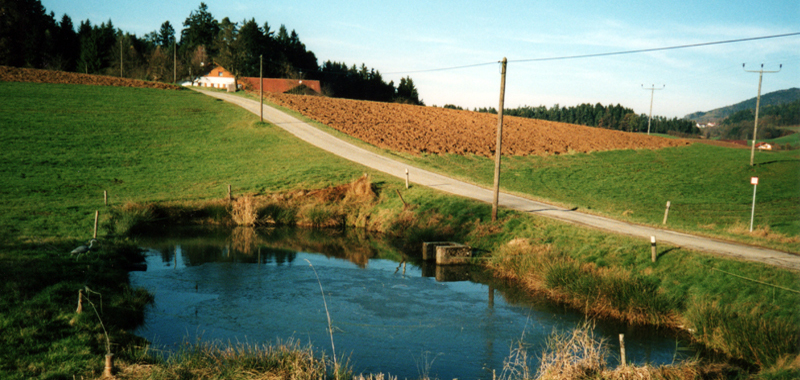 weiher beim moser w p