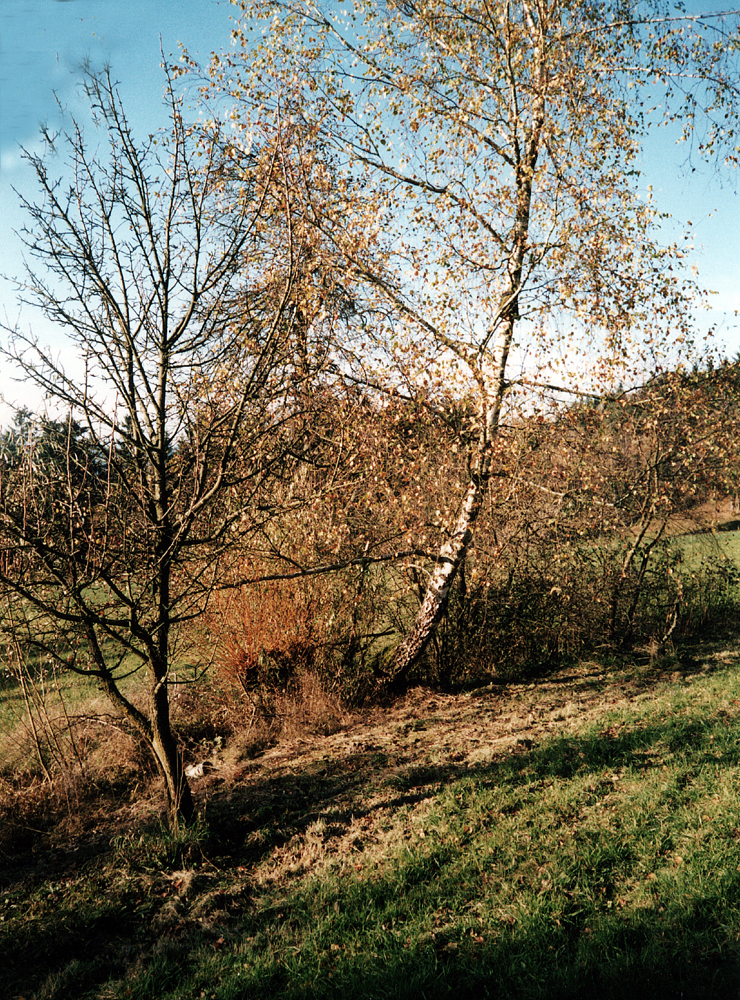 muehlloch hoellhaus w