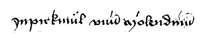 pir04_w