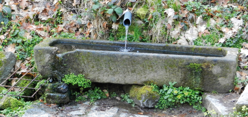 mitterfelser heilwasser bruendl